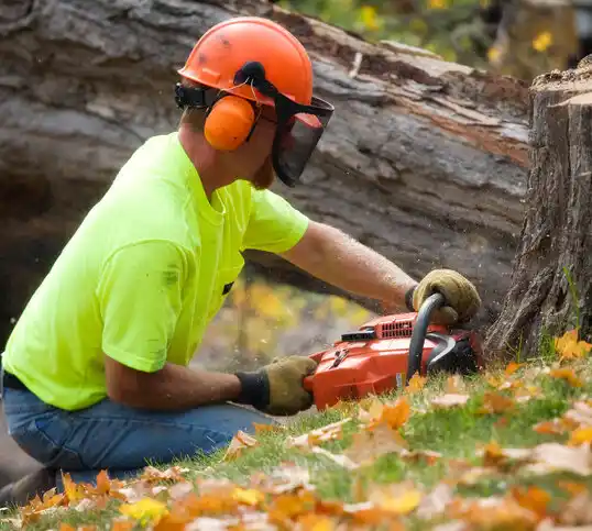 tree services Blanchester